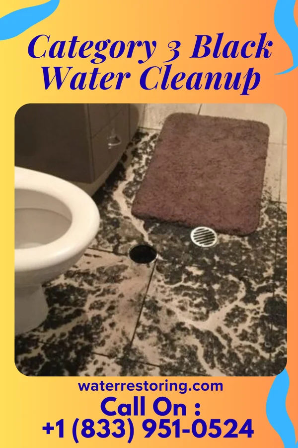 Category 3 Black Water Cleanup in Plantation, KY