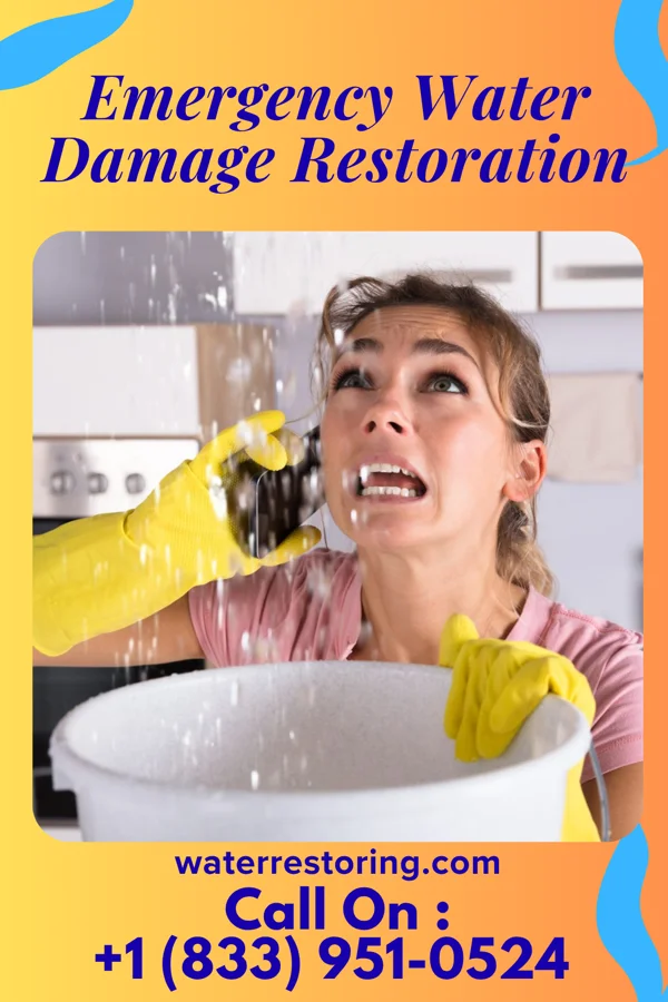 Emergency Water Damage Restoration in Plantation, KY