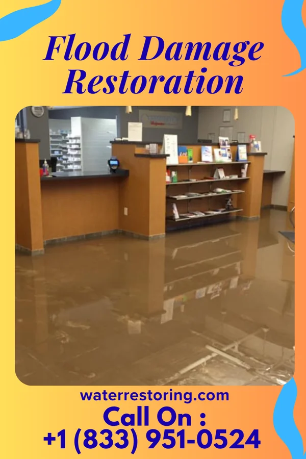 Flood Damage Restoration in Plantation, KY