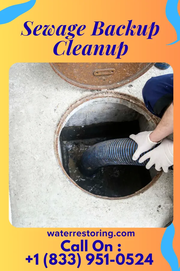 Sewage Backup Cleanup in Plantation, KY