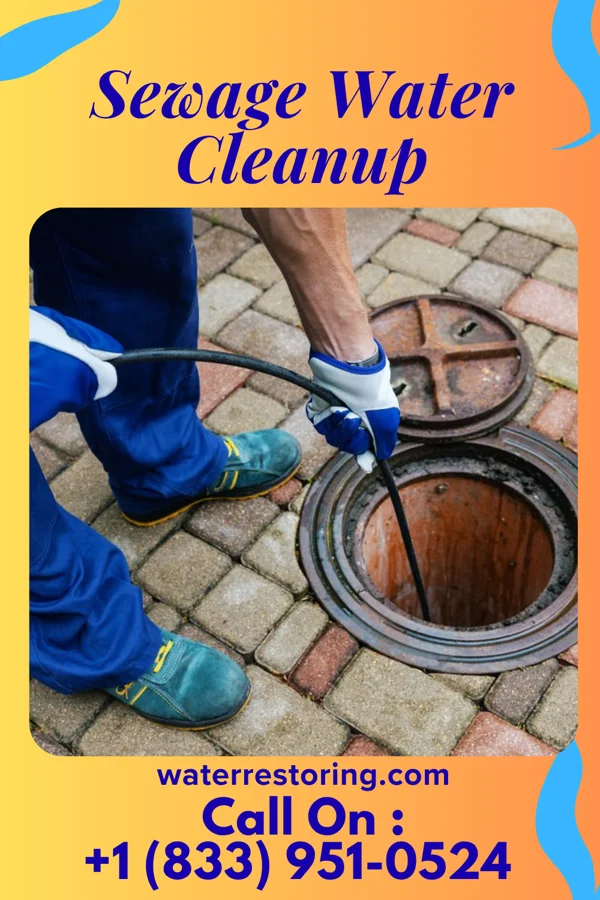 Sewage Water Cleanup in Plantation, KY